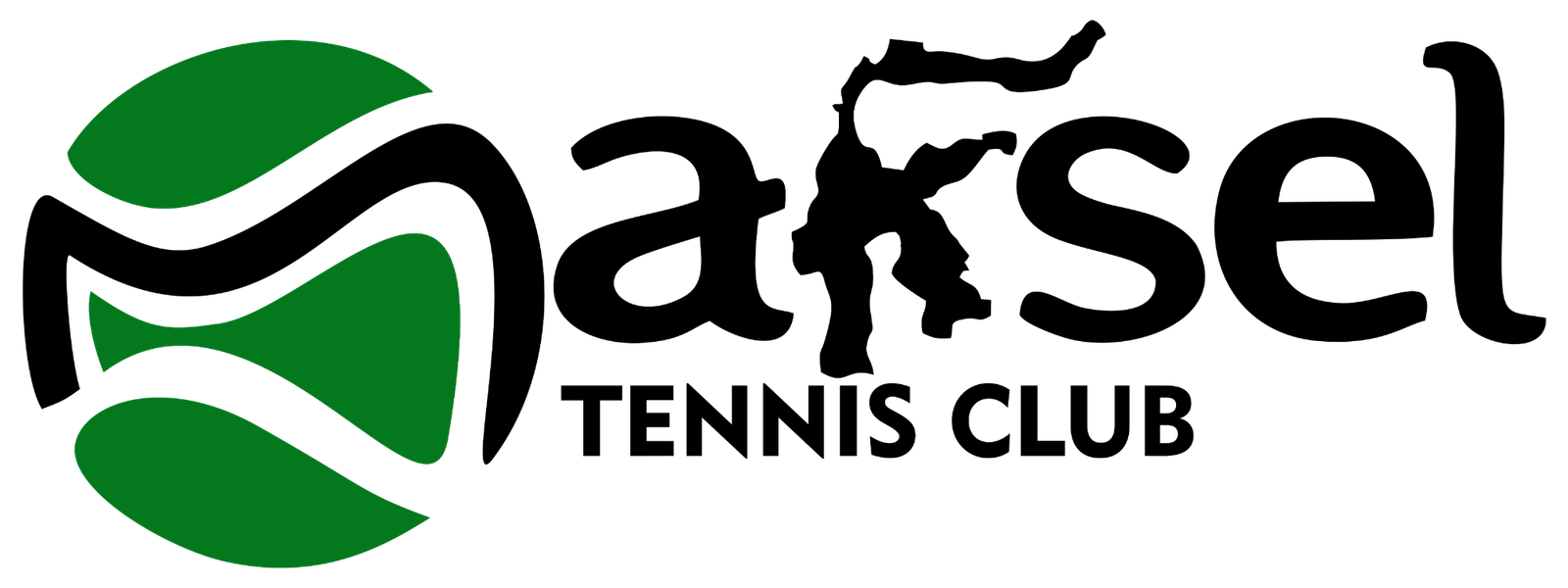 Logo PLN